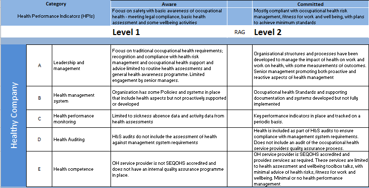 HS06_Fig 04_Health and wellbeing Maturity Matrix.png